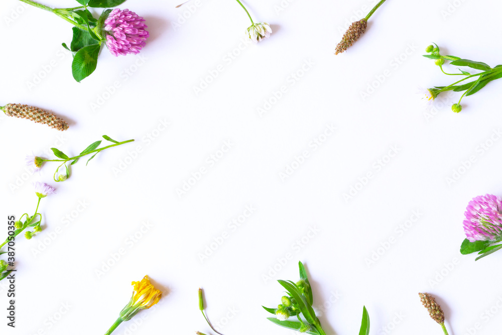 Background material of the wild flower and wild grass.
野花と野草の背景素材 Background material of the wild flower and wild grass.
野花と野草の背景素材