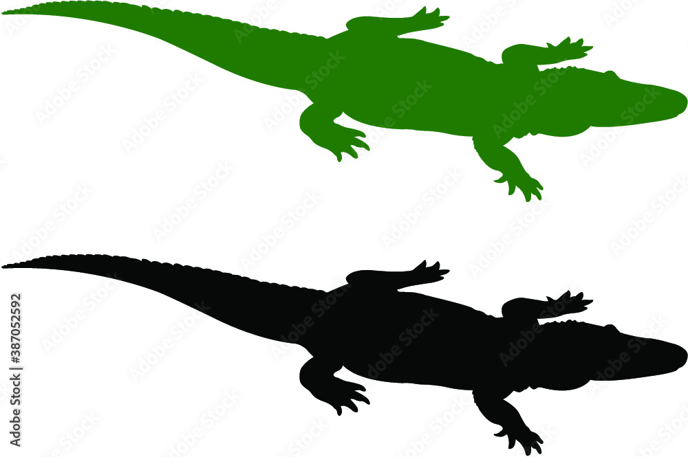 Fototapeta premium silhouette of an alligator