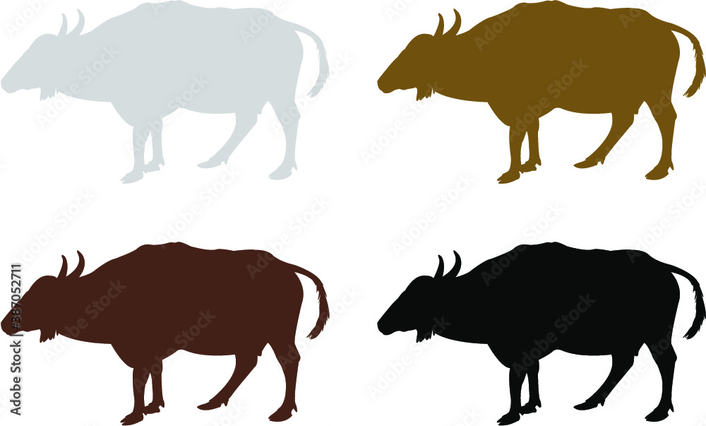 animals collection of a cattle