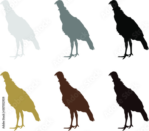 silhouettes of turkey