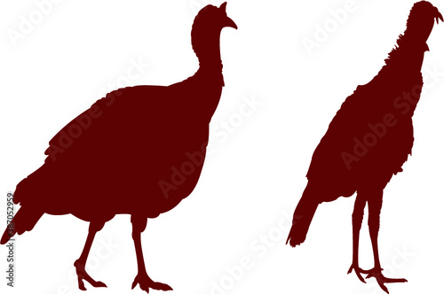turkey silhouette