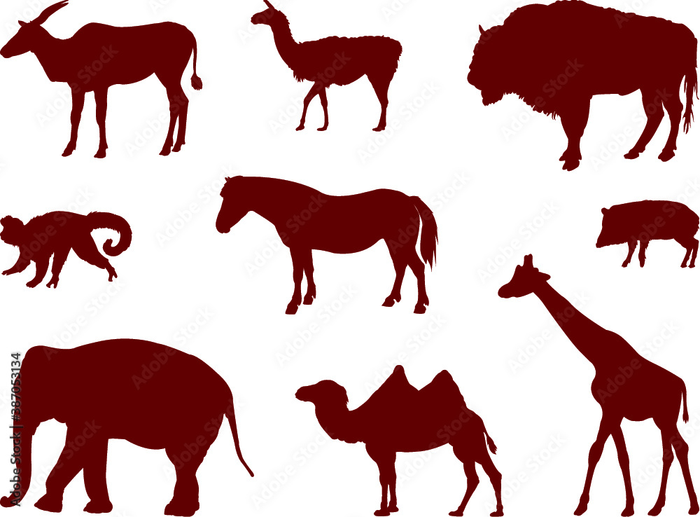 Fototapeta premium set of wild animals silhouettes