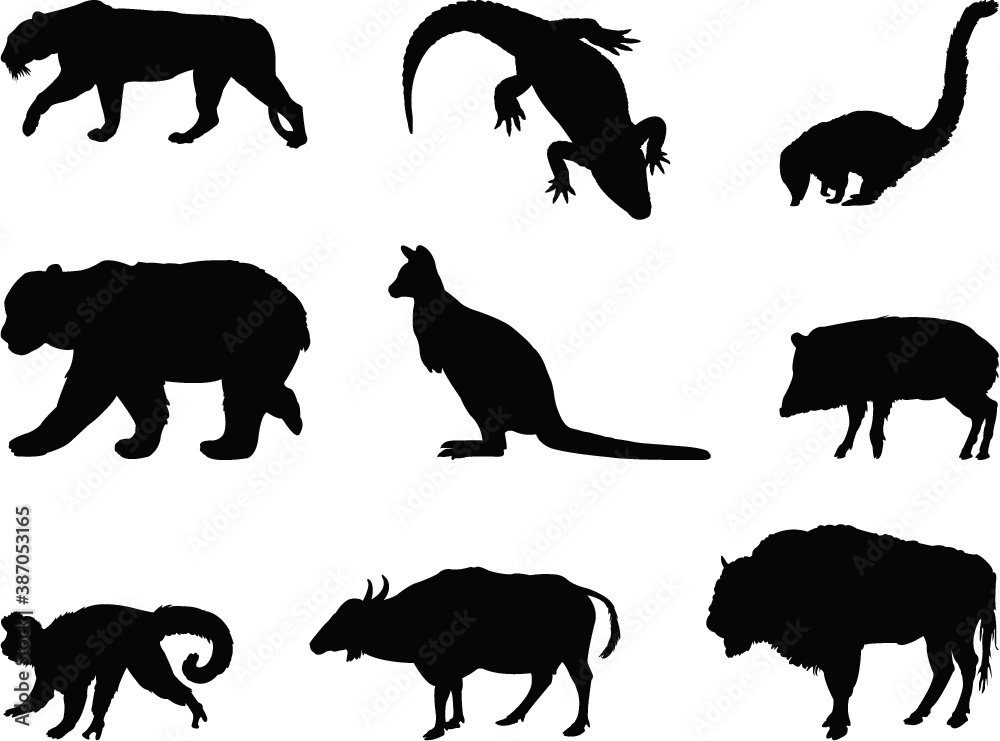 Obraz premium set of wild animals silhouettes