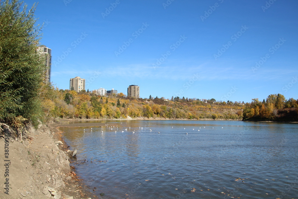 Autumn On The River, Dawson Park, Edmonton, Alberta