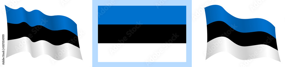 Estonian flag in static position and in motion, developing in wind in exact colors and sizes, on white background Estonian flag in static position and in motion, developing in wind in exact colors and sizes, on white background