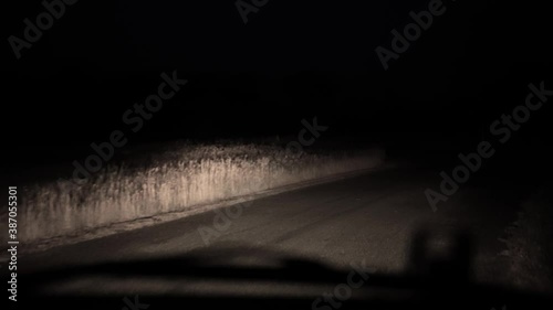 Spooky evening drive in the dark. photo