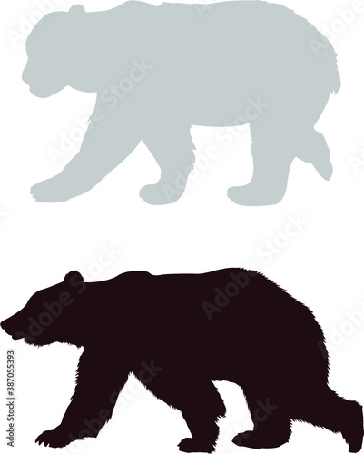 silhouette of a polar bear