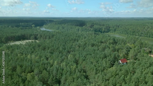 Aerial fly up - Drone slowly rise over evergreen pine tree crowns ad lake at Kowalskie Blota, Poland photo