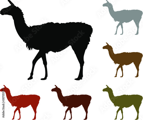 set of llama animals