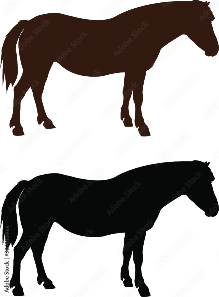 Fototapeta premium horse silhouette vector