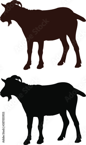 silhouette of a goat