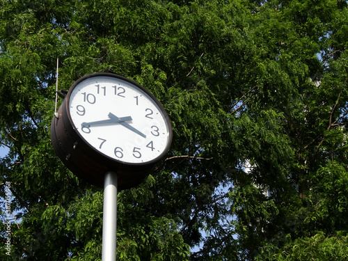 公園のアナログ時計