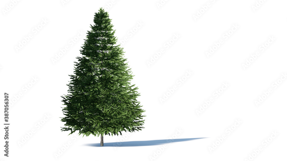 Hi-Resolution Beautiful 3D christmas Trees Isolated on white background ...