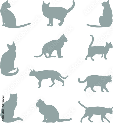 set of cats silhouettes