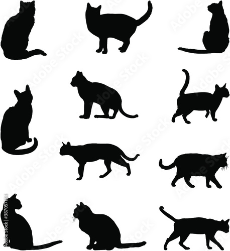 set of cats silhouettes