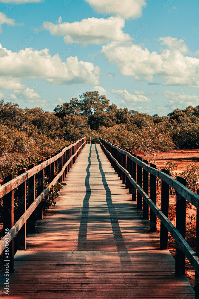 wooden bridge over dry river