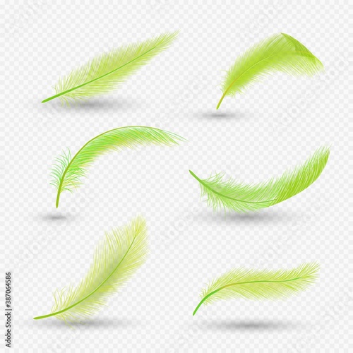 Gold feather set, vector isolated illustration on transparent background. Realistic fluffy feathers of beautiful birds.