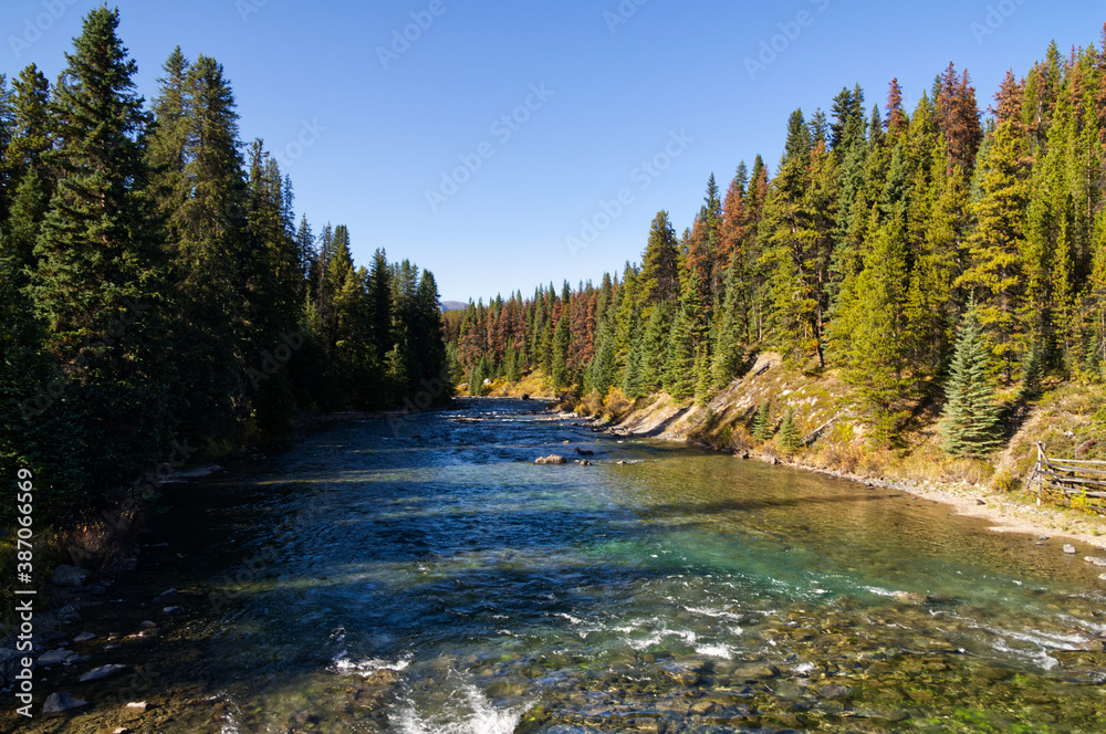 Maligne River on a Clear Day Maligne River on a Clear Day