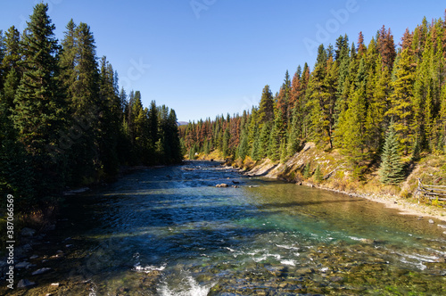 Maligne River on a Clear Day