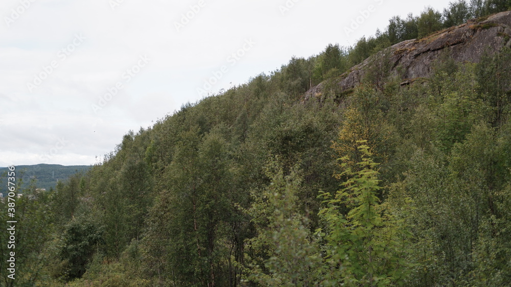 Northern tundra forest view from the hills in Kola peninsula