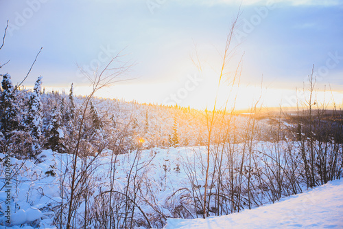 Winter forest after snow sunset, Fairbanks, Alaska