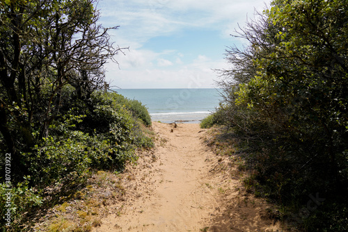 Fototapeta Naklejka Na Ścianę i Meble -  sand pathway access to french sea coast of atlantic beach in summer day