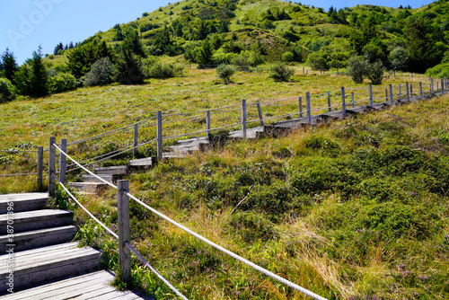 Fototapeta Naklejka Na Ścianę i Meble -  walking pathway in puy-de-dome french mountain chain volcano in summer day