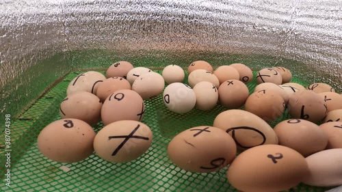 A Basket Of Duck Eggs Marked With X And Numbers - Philippine Street Food - Balut Penoy - close up photo