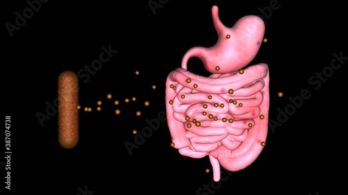 Fecal transplant. Microbiome , bacteria transferred from healthy to unhealthy stomach. 3d rendering illustration.