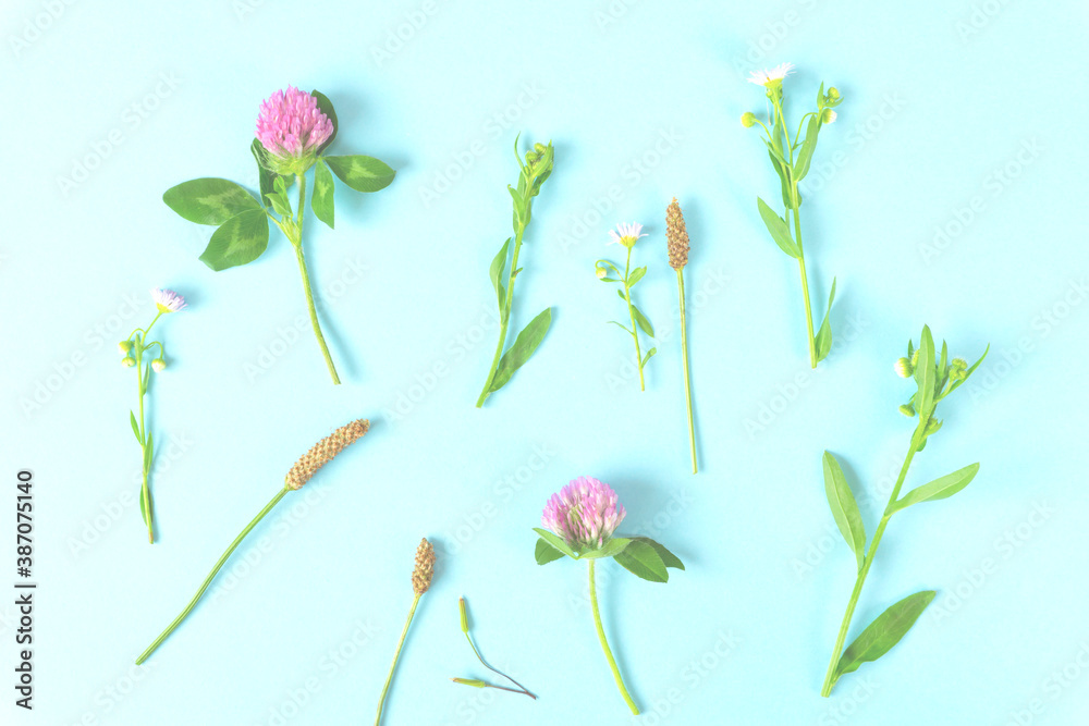 Background material of the wild flower and wild grass. 野花と野草の背景素材