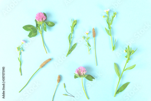 Background material of the wild flower and wild grass. 野花と野草の背景素材