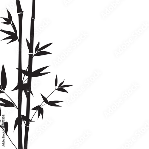 Decorative bamboo branches isolated on white background.