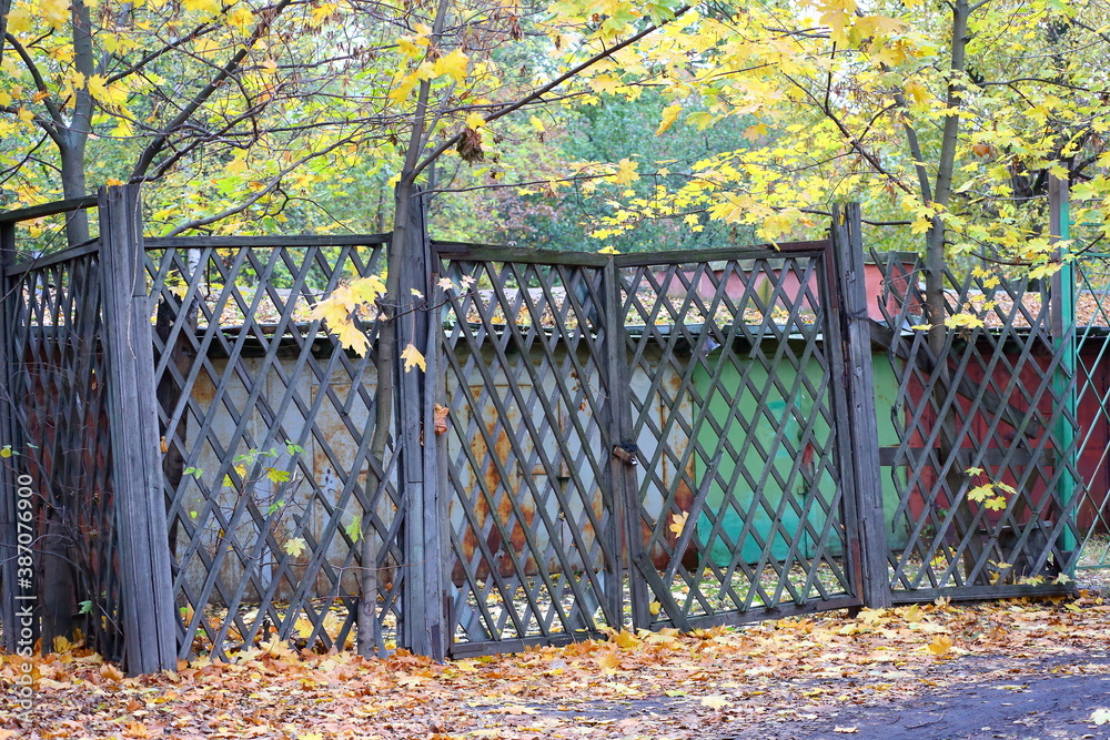 Garages behind a wooden lattice fence with gates in yellow autumn leaves Garages behind a wooden lattice fence with gates in yellow autumn leaves