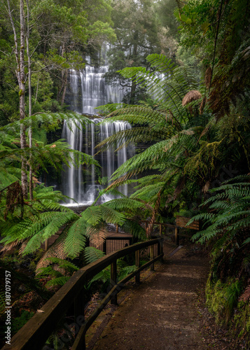 Russell Falls at Mount Field, Tasmania