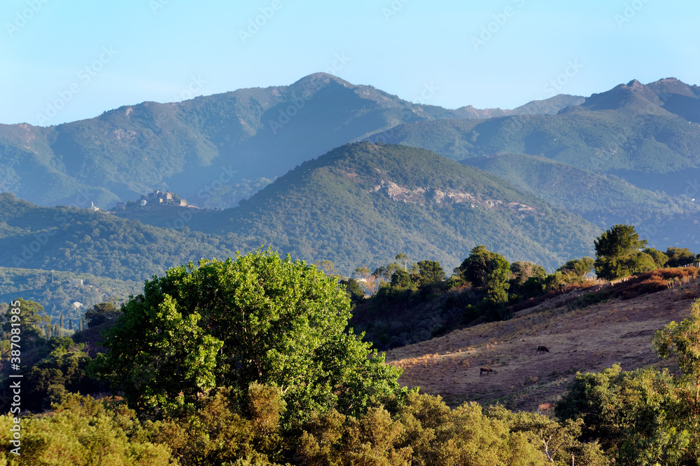 Costa Serena hills in Upper Corsica