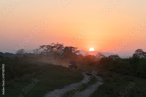 Jeep Safari during sunset on forest trail of Kaziranga National Park, Assam, Northeast India