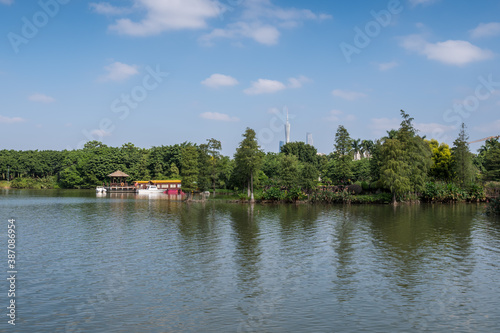 Landscape by the lake in the park