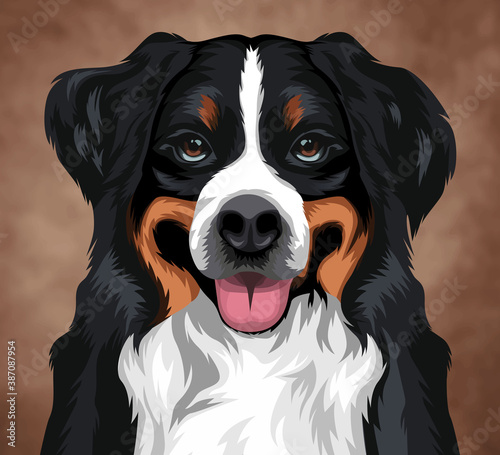 bernese mountain dog illustration  on isolated gray background. cute dog vector eps.10