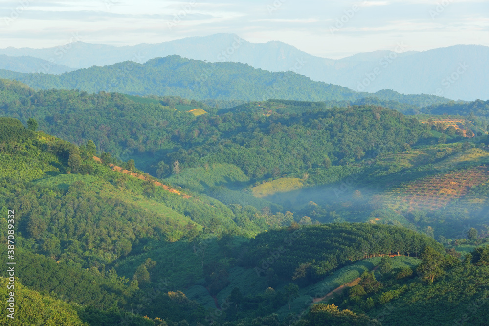 Beautiful landscape of view green mountain with thin fog in morning at Nan Province of Thailand
