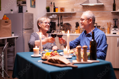 Elderly couple toasting wine glasses for festive dinner. Happy cheerful senior elderly couple dining together in the cozy kitchen  enjoying the meal  celebrating their anniversary.