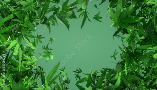 Abstract 3D rendering of Cannabis leaves on a green background. Product background, backplate. Circular framing.