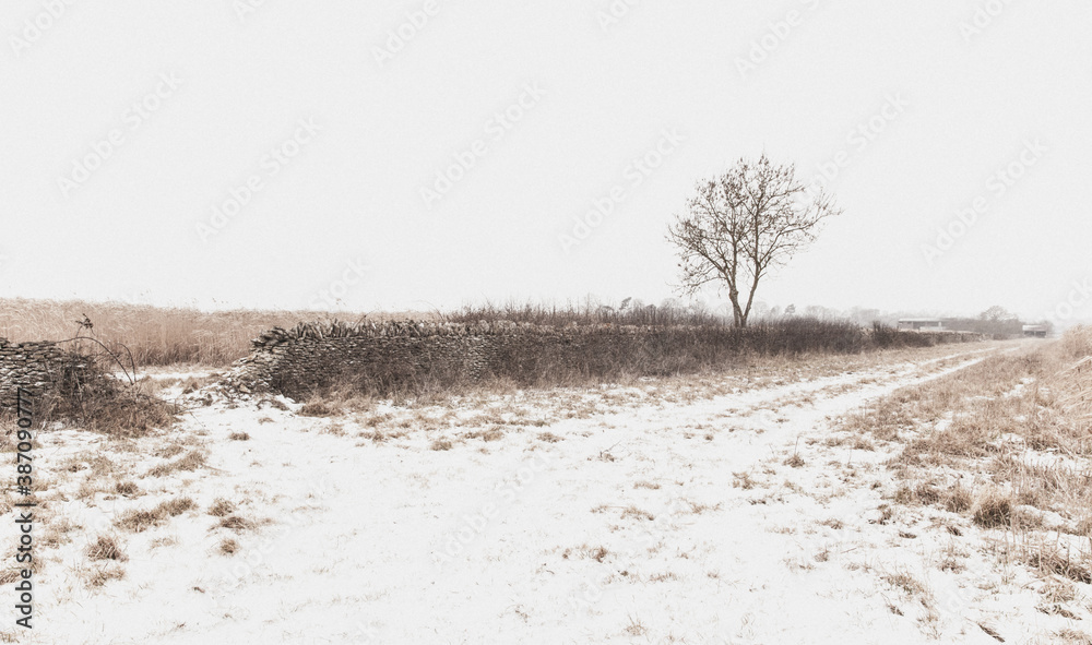 Snow covered winter landscape along Akeman Street in rural Oxfordshire Snow covered winter landscape along Akeman Street in rural Oxfordshire