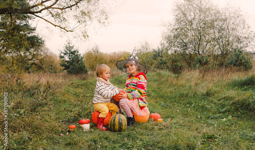 Two little sisters sitting on huge pumpkins on a pumpkin patch. Children collect pumpkins on a village farm on a warm autumn day. Family time for Thanksgiving and Halloween.