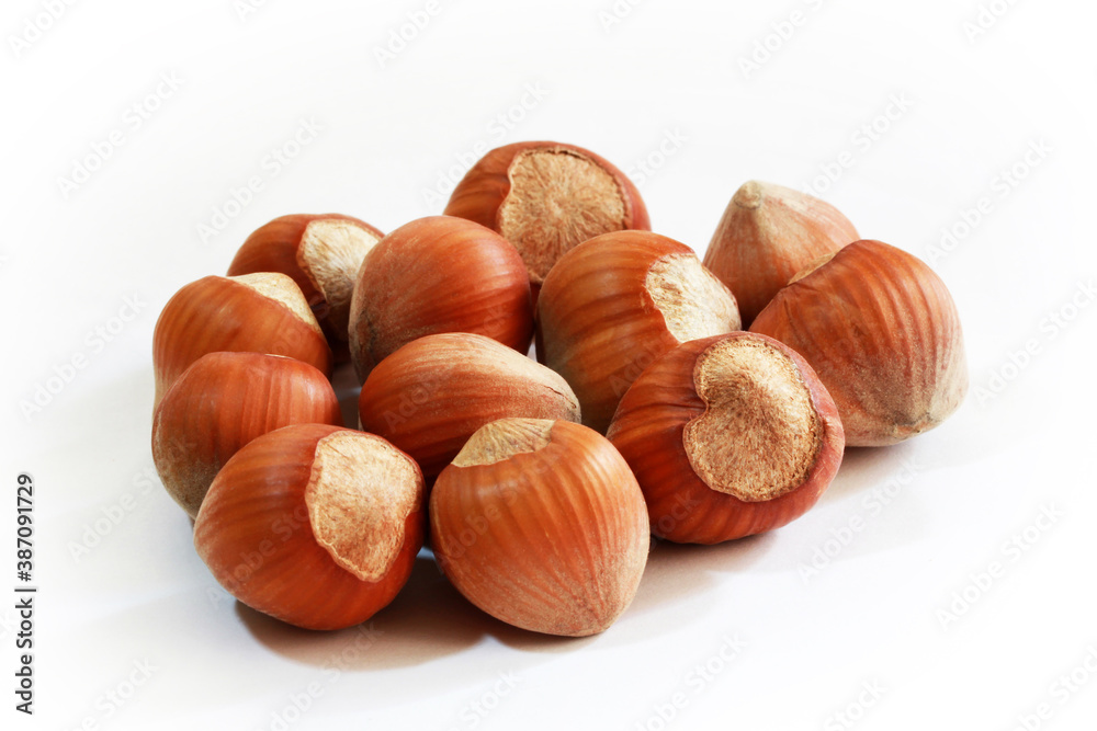 Hazelnuts isolated on white background. Studio shot. Hazelnuts isolated on white background. Studio shot.