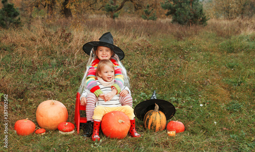 two little sisters are sitting in the middle of a field and hugging each other around a lot of big and small pumpkins.the theme of the Halloween. © Tatsiana