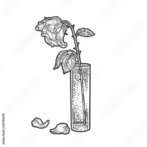 Valokuva wilted rose sketch raster illustration
