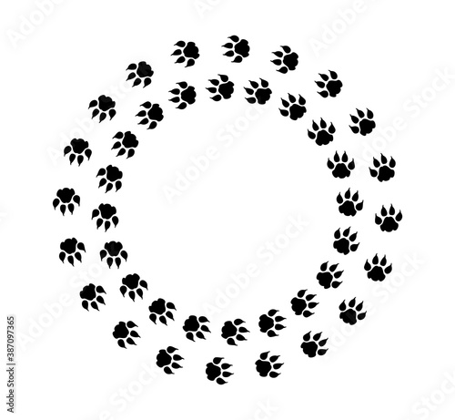 Tatzenspuren von einem Löwen der im Kreis läuft
