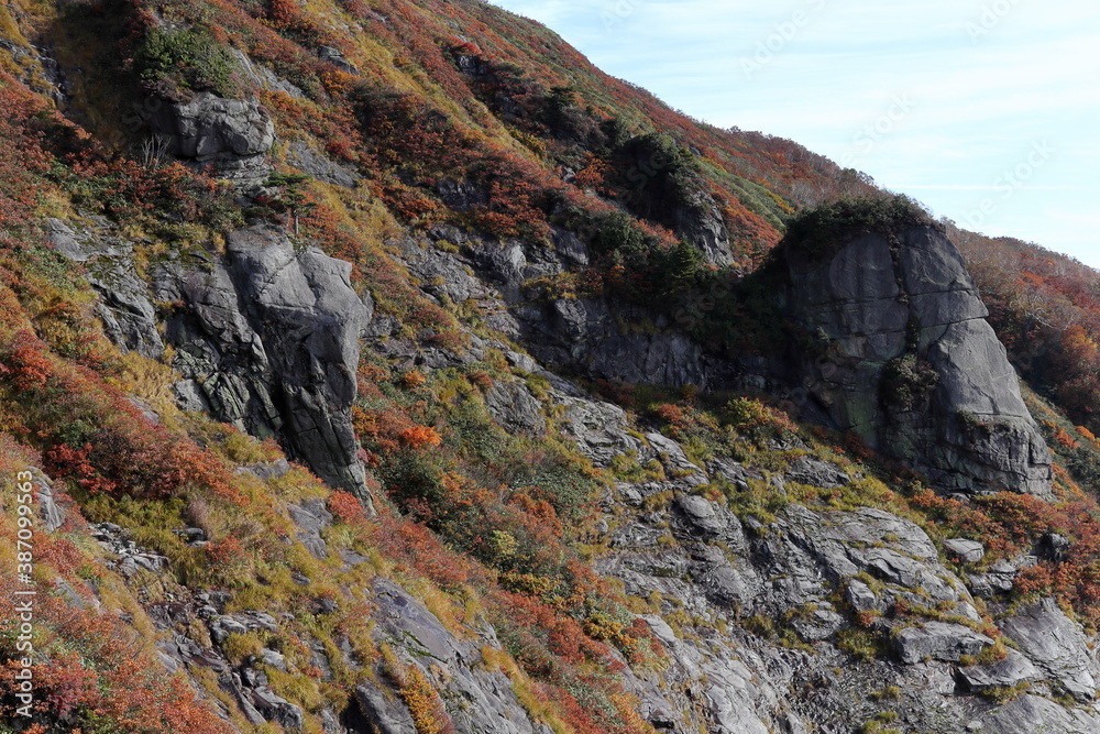 群馬県白毛門の稜線から見る”紅葉の絨毯” (秋/紅葉)