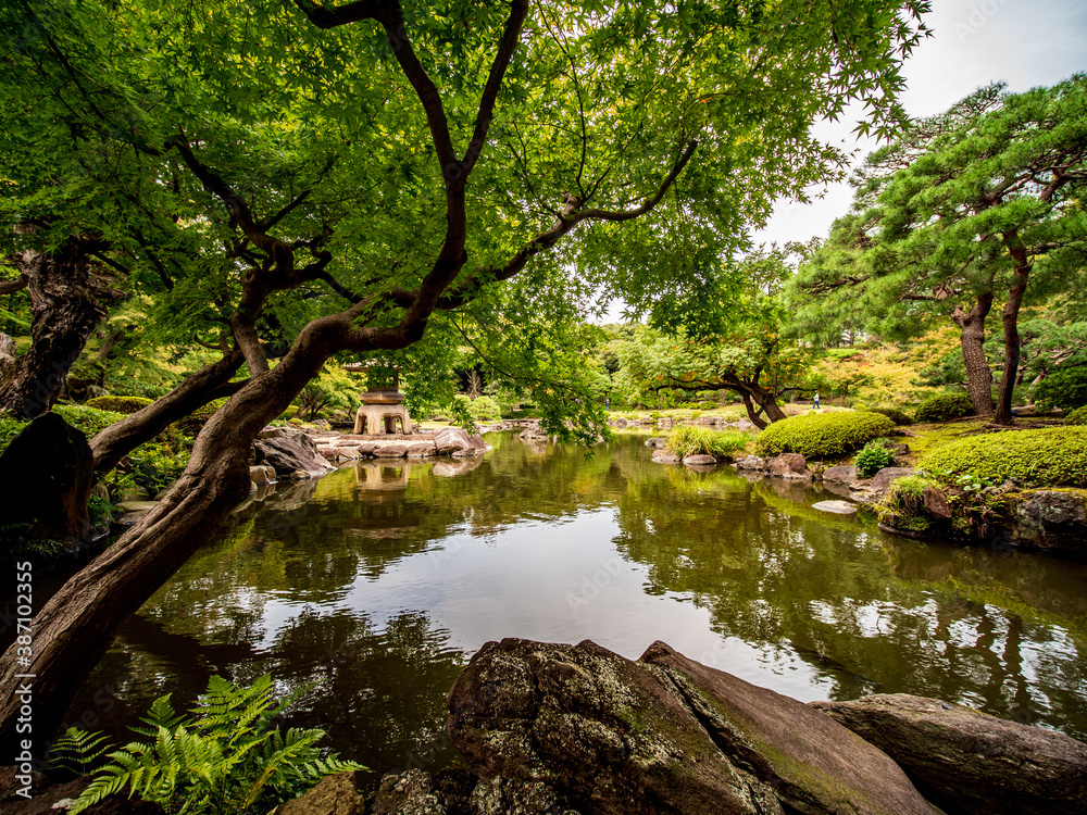 池のある、秋の日本の伝統的な庭園の風景 池のある、秋の日本の伝統的な庭園の風景
