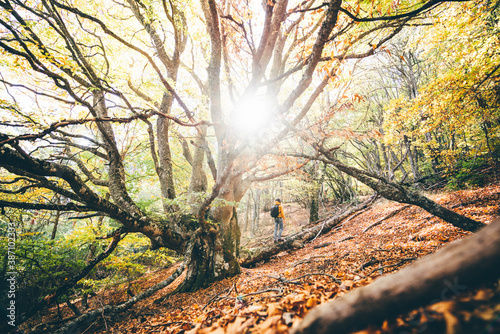 Man walks in autumn forest at sunny day.